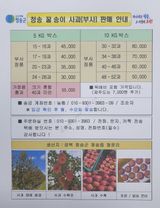 팜모닝 · 게시글 이미지