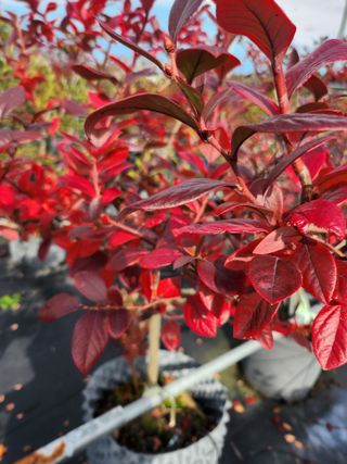 콩18175님의 자유주제 · 사진전 작성글 사진