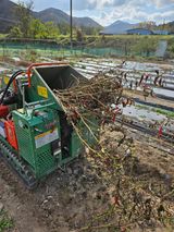 팜모닝 자유주제·자유게시판 게시글 이미지