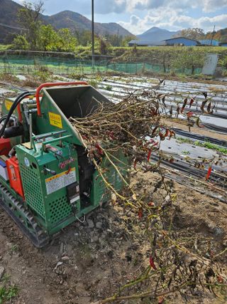 이영호님의 자유주제 · 자유게시판 작성글 사진