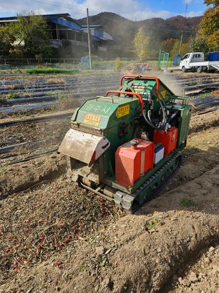 이영호님의 자유주제 · 자유게시판 작성글 사진
