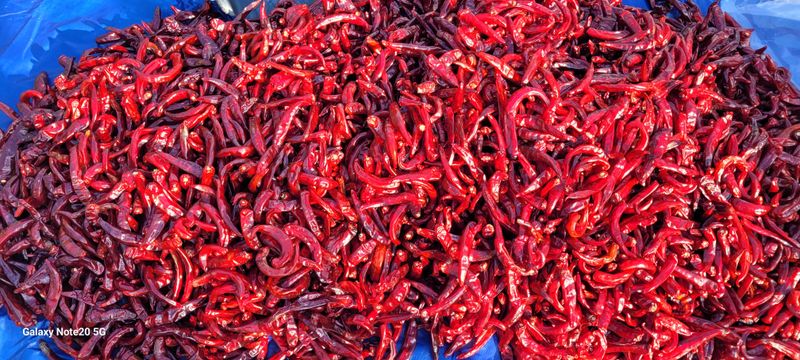 오늘이 가장 젊은날님의 장터 판매 상품 [고추가루5근 2.6kg포장] 첨부 사진