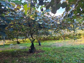 노고단님의 자유주제 · 자유게시판 작성글 사진