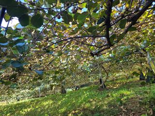 노고단님의 자유주제 · 자유게시판 작성글 사진