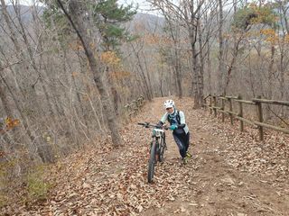 참살이님의 자유주제 · 자유게시판 작성글 사진
