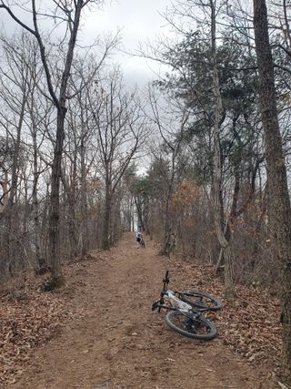 참살이님의 자유주제 · 자유게시판 작성글 사진