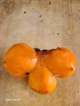 팜모닝 자유주제·사진전 게시글 이미지