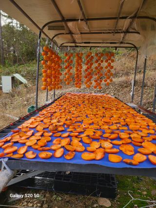 시골농부현장 현장박님의 자유주제 · 사진전 작성글 사진