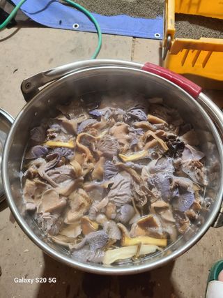 시골농부현장 현장박님의 자유주제 · 사진전 작성글 사진