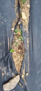 팜모닝 자유주제·사진전 게시글 이미지