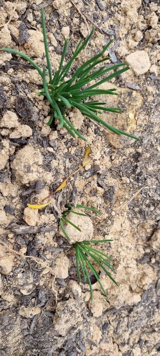 화목보일러님의 자유주제 · 사진전 작성글 사진