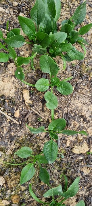 화목보일러님의 자유주제 · 사진전 작성글 사진