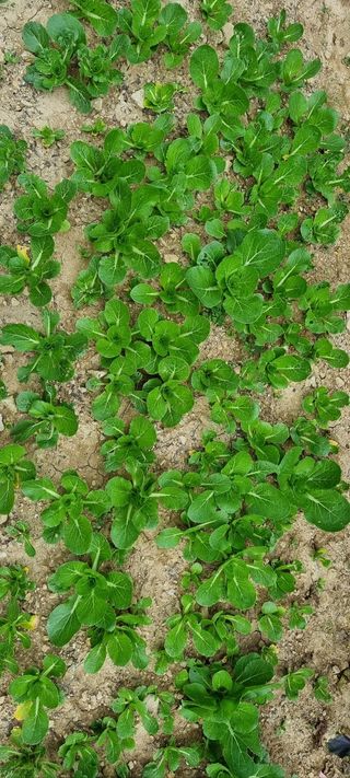 화목보일러님의 자유주제 · 사진전 작성글 사진