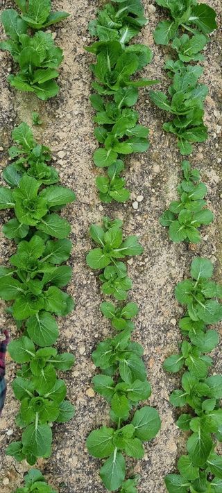 화목보일러님의 자유주제 · 사진전 작성글 사진