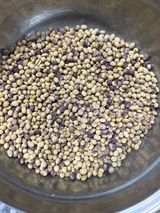 팜모닝 콩·병해충상담 게시글 이미지