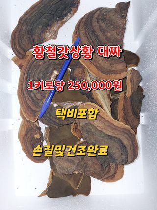 김봉호님의 작성글 사진