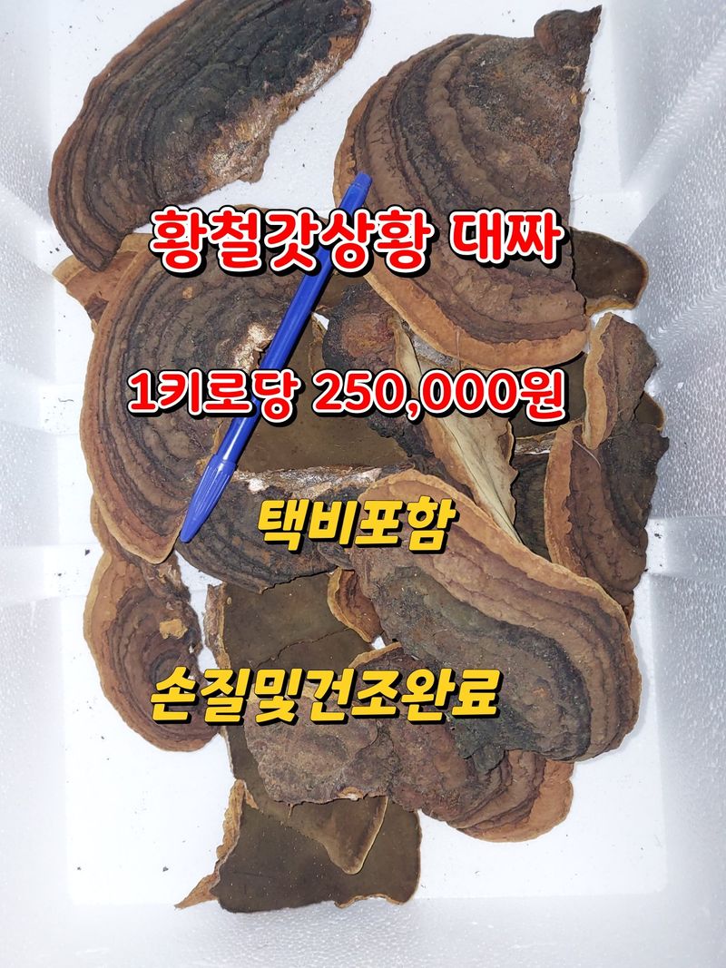김봉호님의 장터 판매 상품 [황철상황버섯 ] 첨부 사진