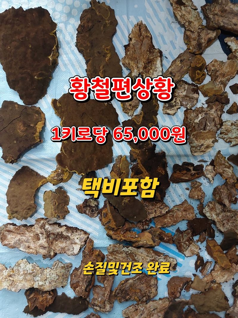 김봉호님의 장터 판매 상품 [황철상황버섯 ] 첨부 사진