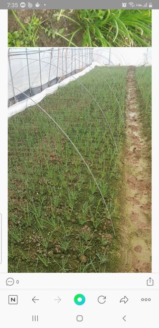 손진락님의 나에게 딱 한가지 능력이 생긴다면? · 참여글 작성글 사진