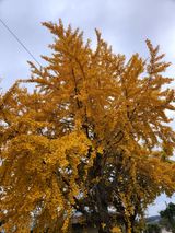 팜모닝 자유주제·자유게시판 게시글 이미지