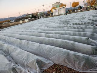 손정아님의 자유주제 · 자유게시판 작성글 사진