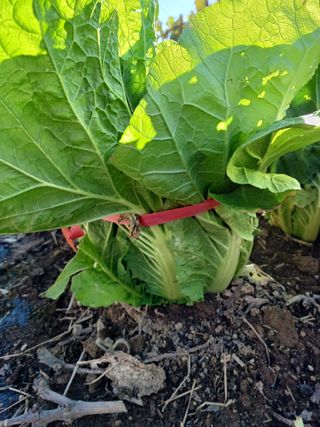 상훈경영체등록5년차님의 자유주제 · 자유게시판 작성글 사진