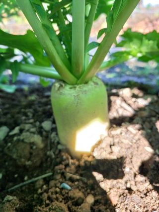 상훈경영체등록5년차님의 자유주제 · 자유게시판 작성글 사진