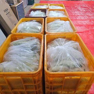 백용기님의 자유주제 · 자유게시판 작성글 사진