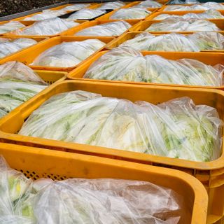 백용기님의 자유주제 · 자유게시판 작성글 사진