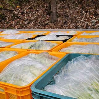 백용기님의 자유주제 · 자유게시판 작성글 사진