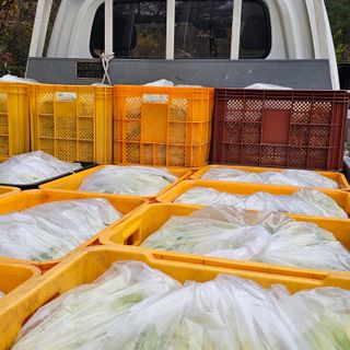 백용기님의 자유주제 · 자유게시판 작성글 사진