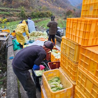 백용기님의 자유주제 · 자유게시판 작성글 사진