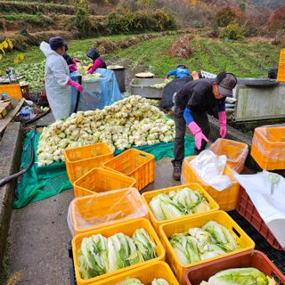 백용기님의 자유주제 · 자유게시판 작성글 사진
