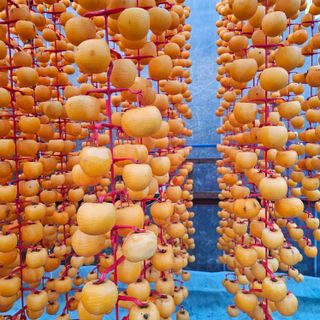 백용기님의 자유주제 · 자유게시판 작성글 사진