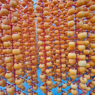 백용기님의 자유주제 · 자유게시판 작성글 사진