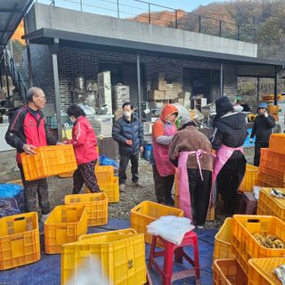 백용기님의 자유주제 · 자유게시판 작성글 사진