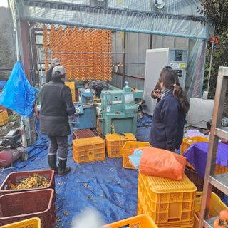 백용기님의 자유주제 · 자유게시판 작성글 사진