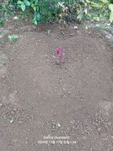 팜모닝 자유주제·자유게시판 게시글 이미지