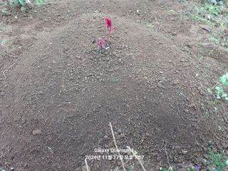 전진규.해돋이님의 자유주제 · 자유게시판 작성글 사진