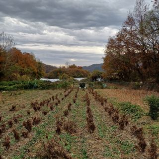 알 수 없음님의 자유주제 · 자유게시판 작성글 사진