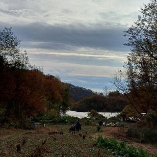 알 수 없음님의 자유주제 · 자유게시판 작성글 사진