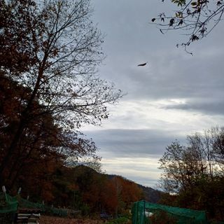 알 수 없음님의 자유주제 · 자유게시판 작성글 사진