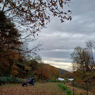 알 수 없음님의 자유주제 · 자유게시판 작성글 사진