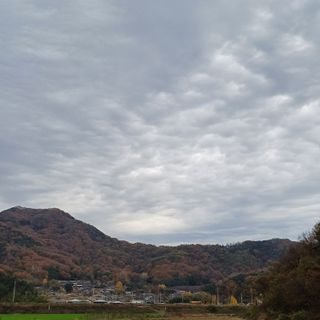 알 수 없음님의 자유주제 · 자유게시판 작성글 사진