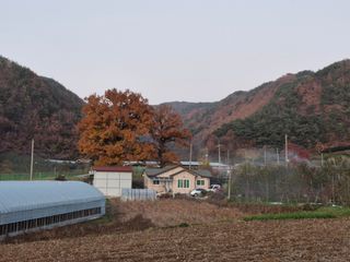 전락구님의 사과 · 영농일지 작성글 사진