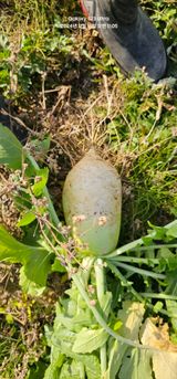 팜모닝 · 게시글 이미지