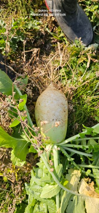 윤창기님의 작성글 사진
