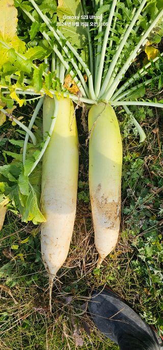 윤창기님의 작성글 사진