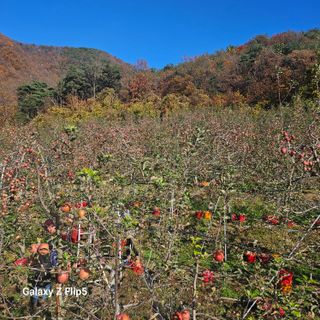 강병학님의 작성글 사진