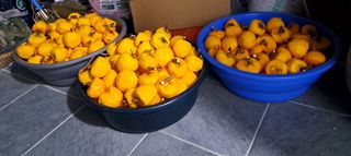 산청아들셋맘박홍점님의 자유주제 · 자유게시판 작성글 사진